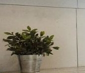 Продать Квартиры вторичка д. Кальтино, шоссе Колтушское, 19к1   