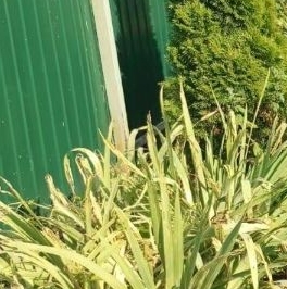 Продажа дома д. Монделево, улица Летняя, 82 Продажа дома д. Монделево, улица Летняя, 82