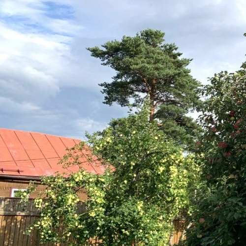 Коттедж/дом Вырица городской поселок, улица Менделеева