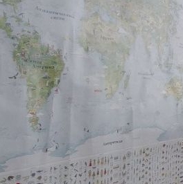 Аренда 4-комн квартиры на вторичном рынке Суворовский проспект, 42 Аренда 4-комн квартиры на вторичном рынке Суворовский проспект, 42