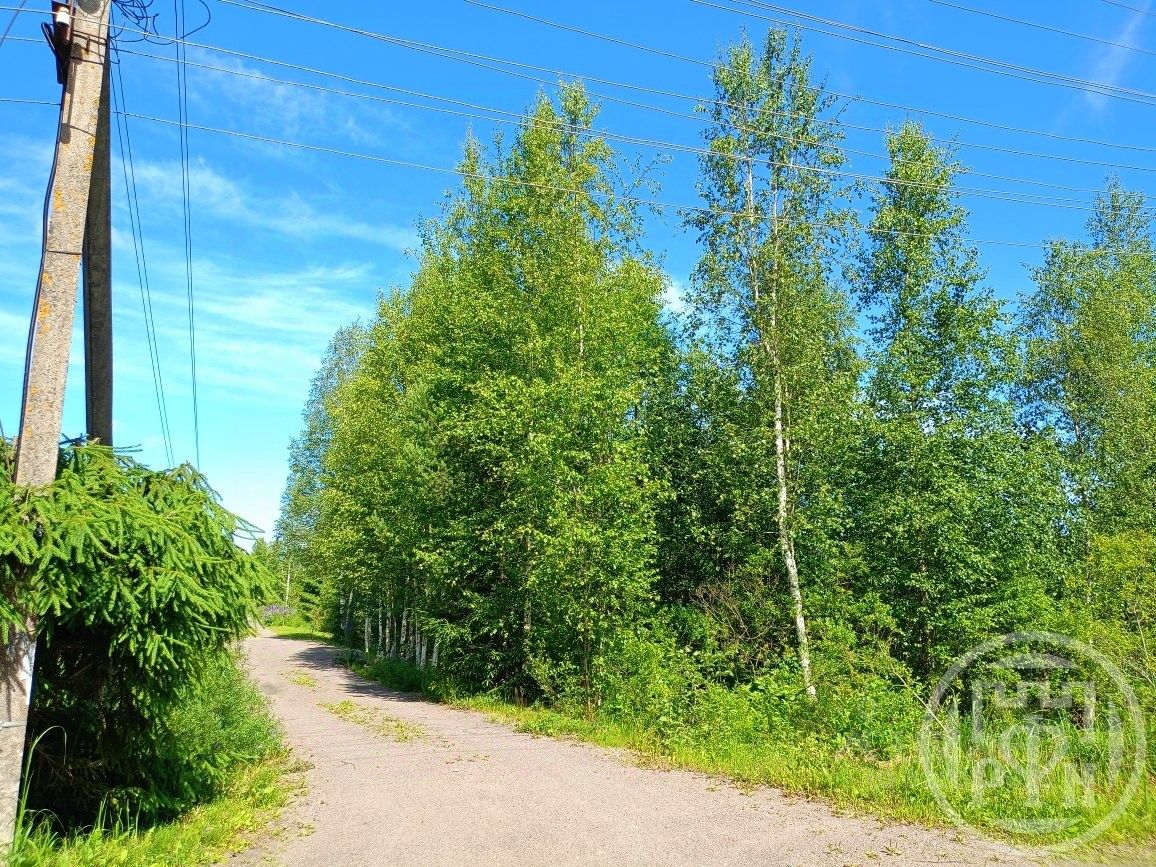 Продажа земли Луговое СНТ, улица Цветочная