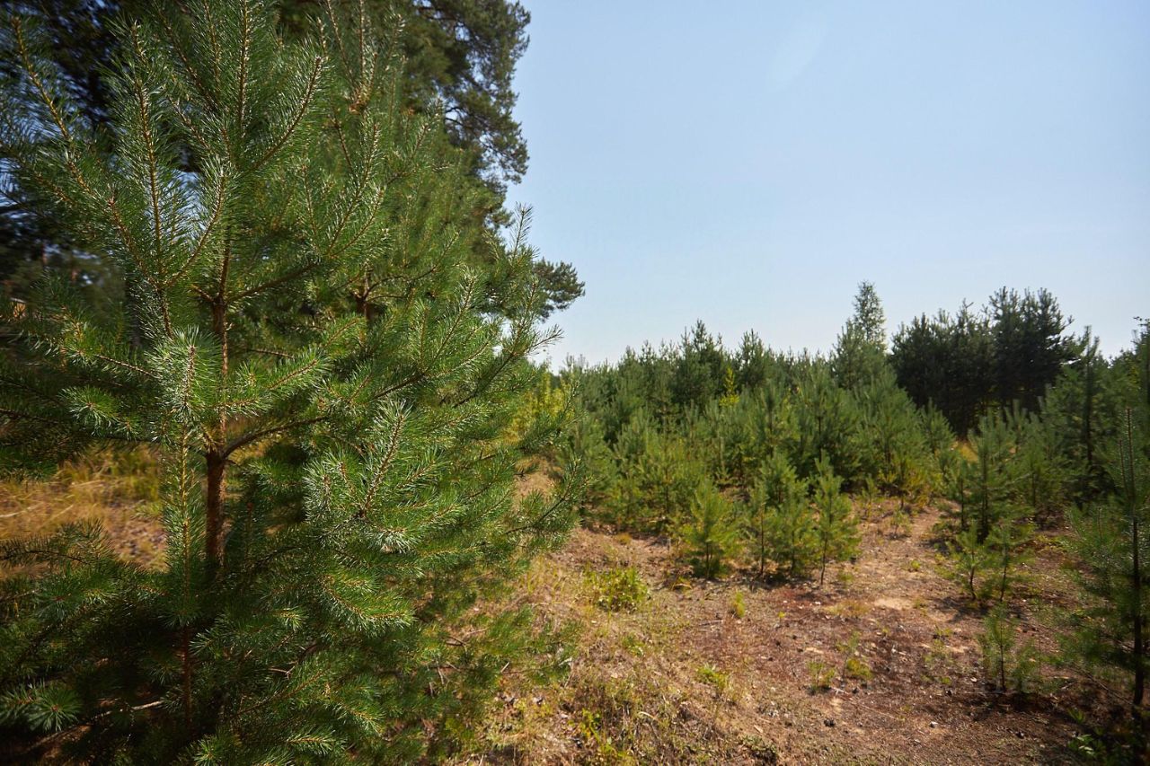 Продажа земли Ленинское кп, пос. Ленинское