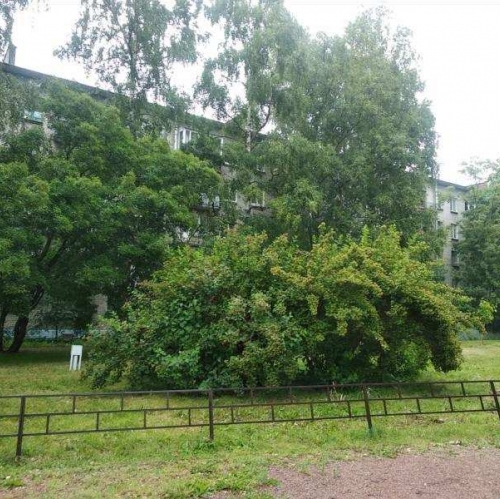 1-комн квартира Шепетовская улица,  д. 3