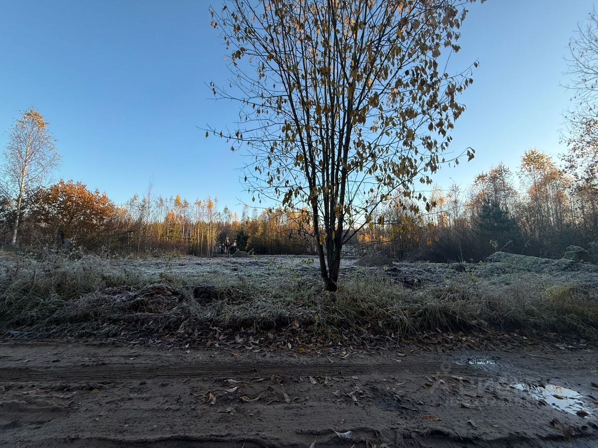 Продажа земли Золотая Бухта кп, улица Пляжная