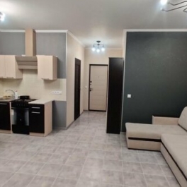 Аренда 1-комн квартиры на вторичном рынке Преображенская улица,  д. 6