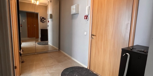 1-комн квартира Балашиха, Маяковского улица, дом 36