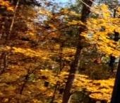 Продать Квартиры вторичка Политехническая улица, 29к1   