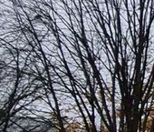 Продать Квартиры вторичка Манежный переулок, 6   