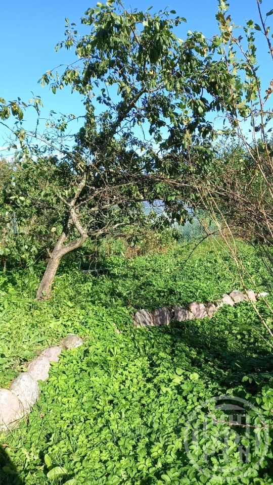 Продажа земли Лебяжье городской поселок