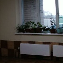 Продажа студии Нахабино пгт, улица Королева, 6