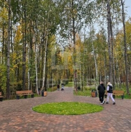 Продажа 1-комн квартиры на вторичном рынке Авиаконструкторов пр-кт,  д. 63