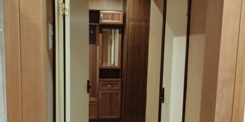 1-комн квартира Пушкин г, Детскосельский б-р,  д. 1