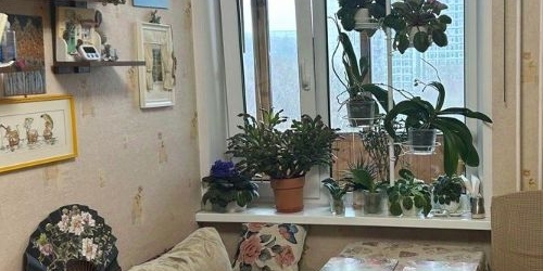 1-комн квартира улица Академика Арцимовича, 12К2