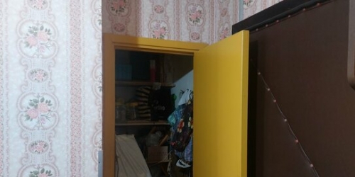 1-комн квартира ул Савушкина,  д. 115,  к. 3