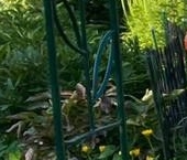 Продать Дачи, коттеджи, загородные дома Ухта садоводческий массив, Белогорка СТ, проезд 6-й Пожарный   