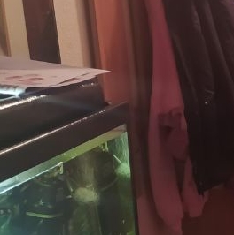 Аренда 2-комн квартиры на вторичном рынке бульвар Яна Райниса, 6К2