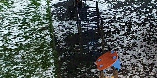 Студия проспект Народного ополчения, 149