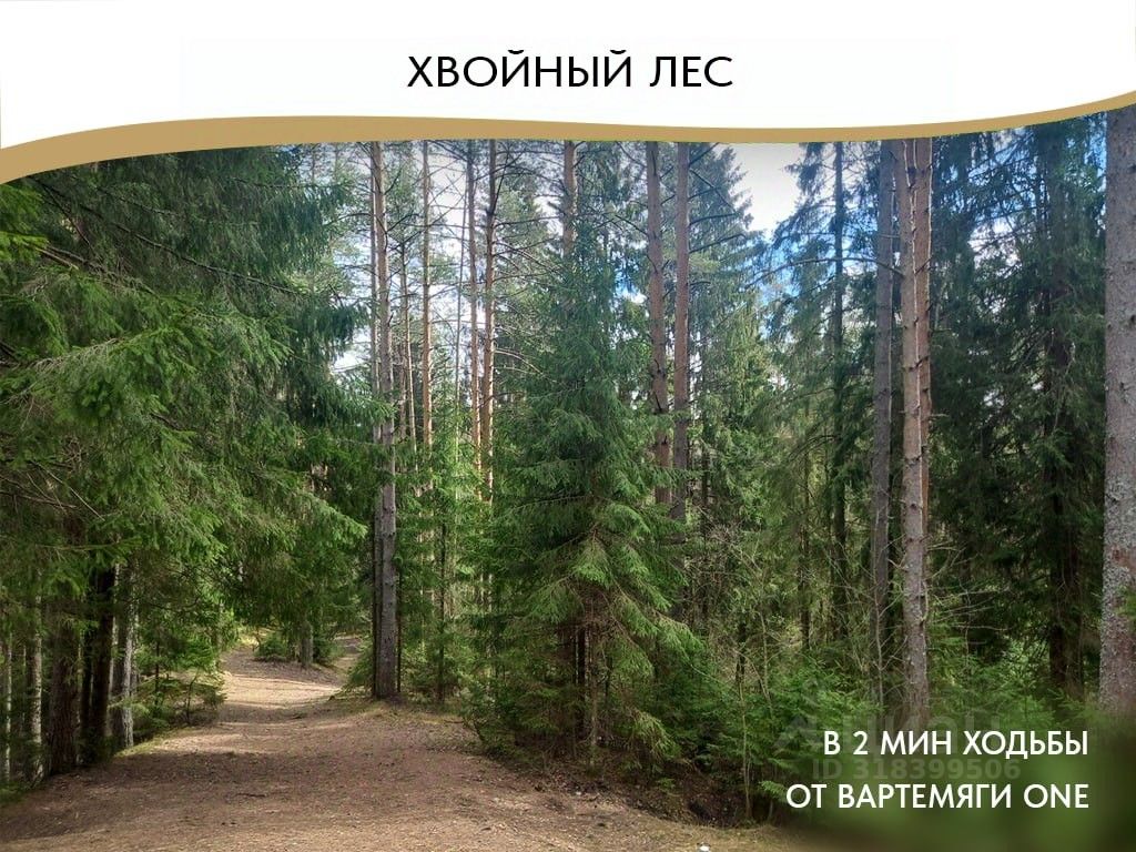 Продажа дома Вартемяги Ван кп, д. Вартемяги, улица Екатерининская, 16