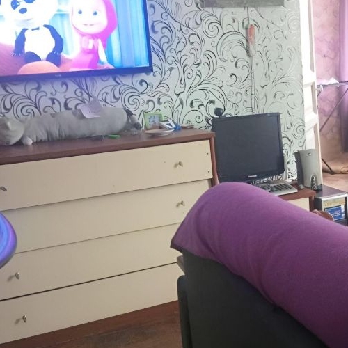 5-комн квартира Ропшинская улица, 32