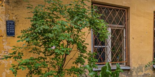 6-комн квартира Разъезжая улица, 3