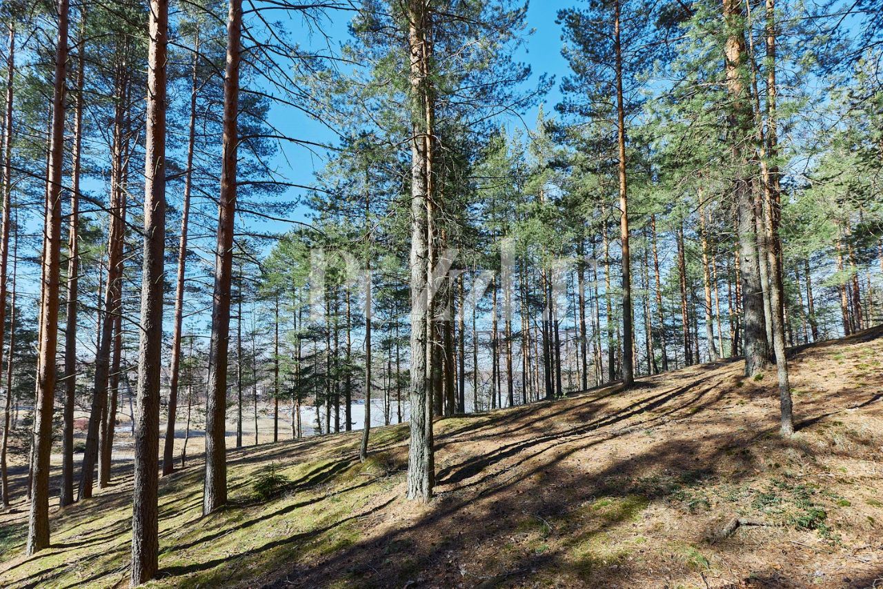 Продажа земли д. Васкелово, улица Новопроложенная