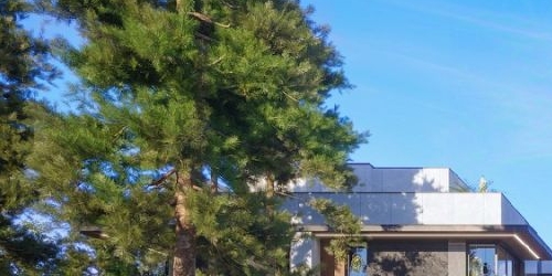 Коттедж/дом пос. Лисий Нос, Приморское шоссе, 26А