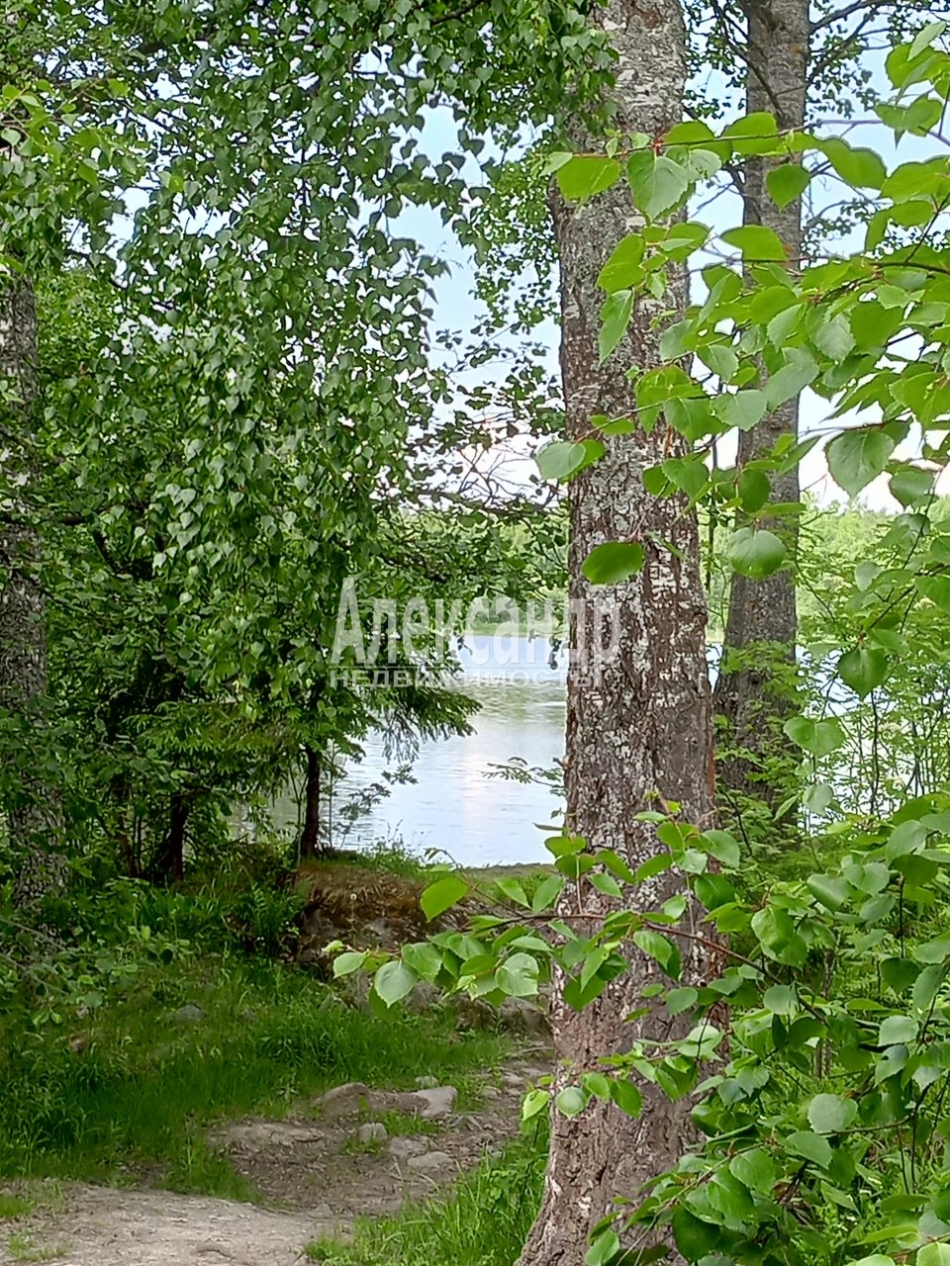 Продажа дома Боровое пос.