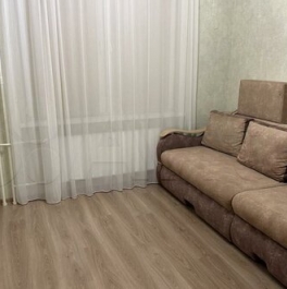 Продажа 1-комн квартиры на вторичном рынке Заневское городское поселение, Ясная улица,  д. 16 к2