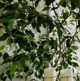 Продажа 3-комн квартиры на вторичном рынке Ремесленная улица, 21