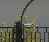 Продать Дачи, коттеджи, загородные дома Пушкин, улица Анциферовская, 3к3   