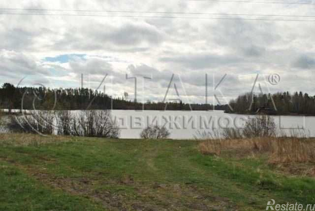 Продажа земли Богатыри, Богатыри п.