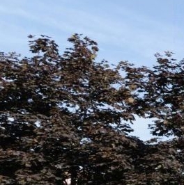 Продажа студии улица Даниловский Вал, 1А Продажа студии улица Даниловский Вал, 1А