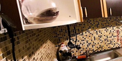 2-комн квартира Бутырская улица, 97