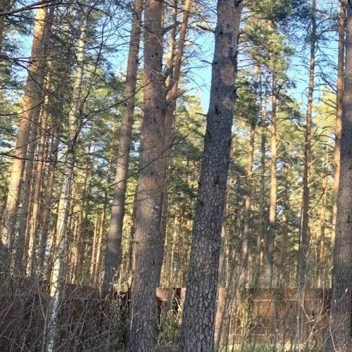 Коттедж/дом Вырица городской поселок, переулок Еленинский
