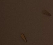 Сдать в аренду Квартиры вторичка Колпино, Загородная улица, 45к3   