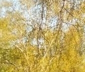 Продать Комнаты в квартирах Липецкая улица, 54/21   