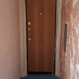 Продажа 1-комн квартиры на вторичном рынке Никольское, Советский пр-кт,  д. 225