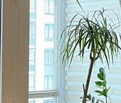 Продать Квартиры вторичка 1-й Предпортовый проезд, 13   