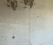 Сдать в аренду Квартиры вторичка Шмитовский проезд, 39к6   