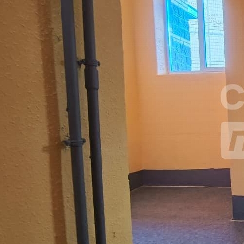 Студия Тосно г., шоссе Барыбина, 10А