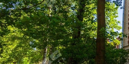 4-комн квартира Политехническая улица, 29к1