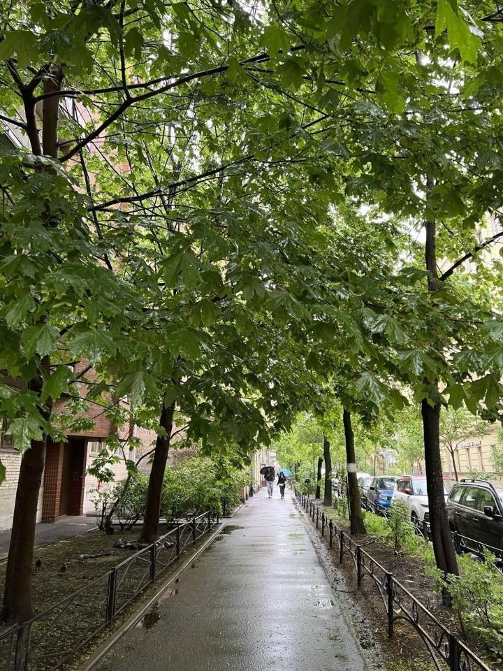 Продажа студии проспект Большой Петроградской стороны, 56