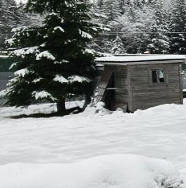 Продажа дома д. Нижние Осельки, 1А Продажа дома д. Нижние Осельки, 1А