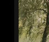 Продать Квартиры вторичка пос. Металлострой, Центральная улица, 19   