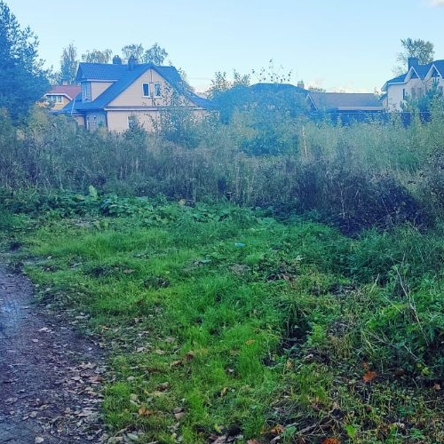 Земельный участок пос. Стрельна, улица Свободы, 23/8