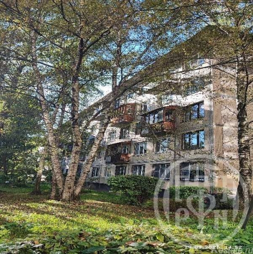 1-комн квартира Пискарёвский просп.,  д. 17,  к. 3