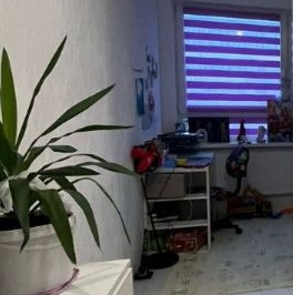 Продажа 1-комн квартиры на вторичном рынке Кузьмоловский пгт, улица Придорожная, 1к4 Продажа 1-комн квартиры на вторичном рынке Кузьмоловский пгт, улица Придорожная, 1к4