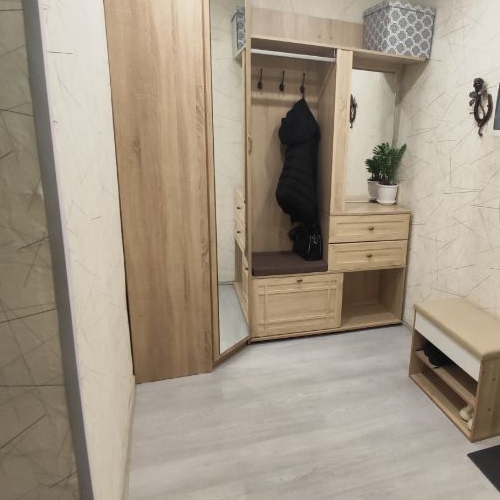 1-комн квартира Пушкино, улица Льва Толстого, 20А