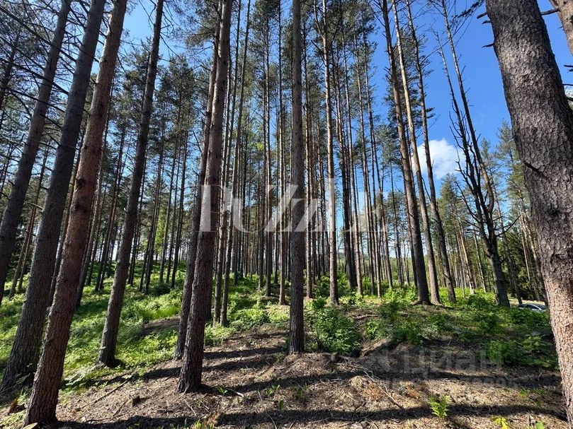 Продажа земли ХиллСайд кп, д. Мистолово