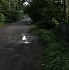 Продажа земли Всеволожск, Бибиковская улица, 23 Продажа земли Всеволожск, Бибиковская улица, 23